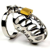 The Snake Metal Cock Cage Male Chastity